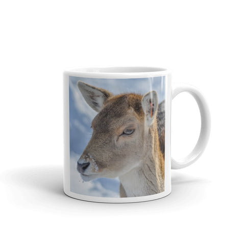 Fallow Deer