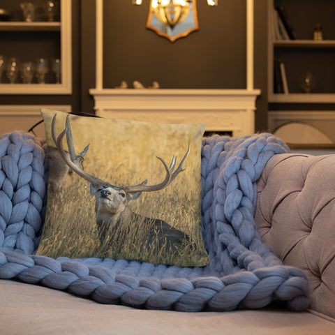 Stag Scenting Danger