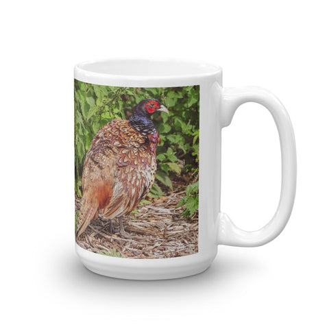 English Pheasant