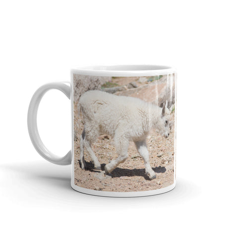 Rocky Mountain Goat Kid