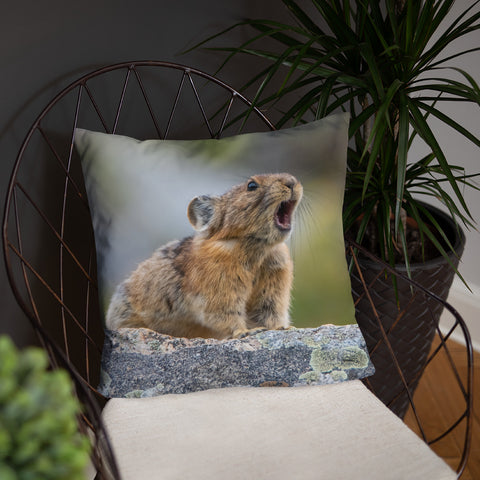 Pikas Don't Squeak They Roar