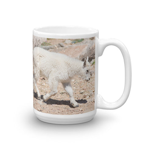 Rocky Mountain Goat Kid
