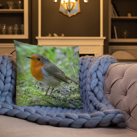 Little Robin Redbreast Came To Visit Me