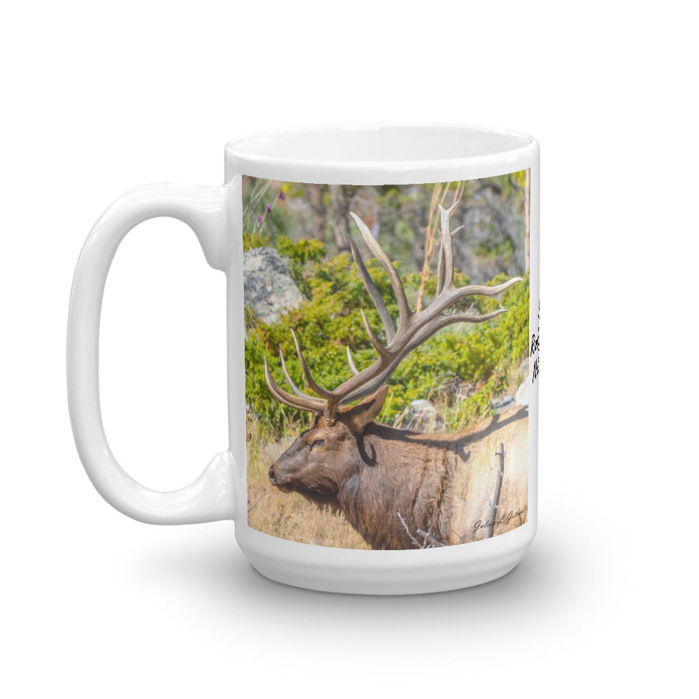 Twelve Point Bull Elk at Rocky Mountain National Park