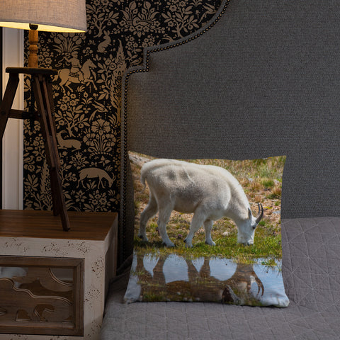 Rocky Mountain Goat Reflecting Pool