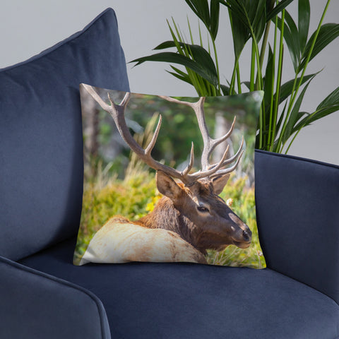 A Bull Elk's Backward Glance