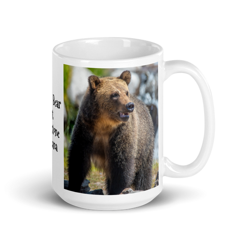 Grizzly Bear