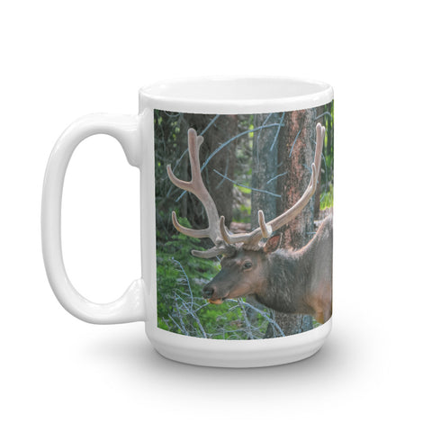 Bull Elk in the Velvet