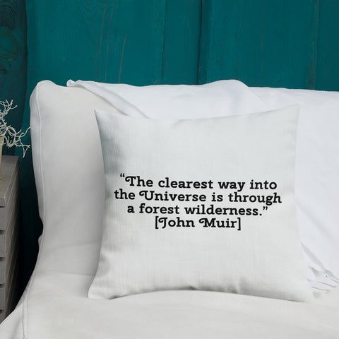 Kebler Pass Aspen in the Fall