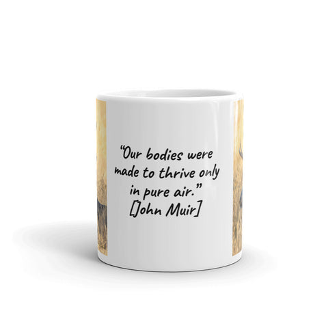 Stag at the Rocky Mountain Arsenal