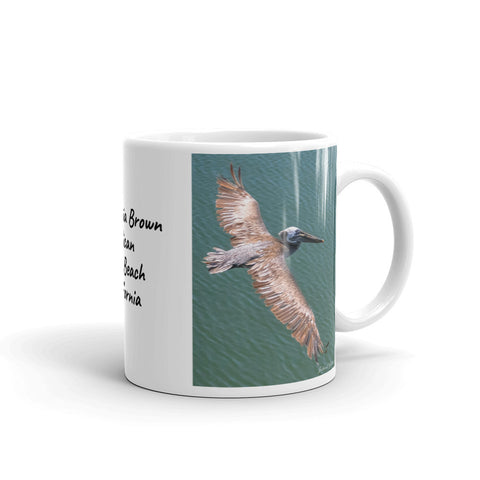 California Brown Pelican