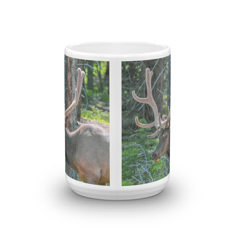 Bull Elk in the Velvet