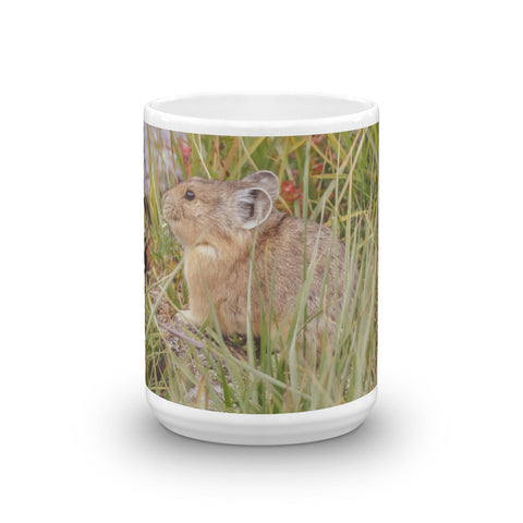 Pika Foraging in Tundra