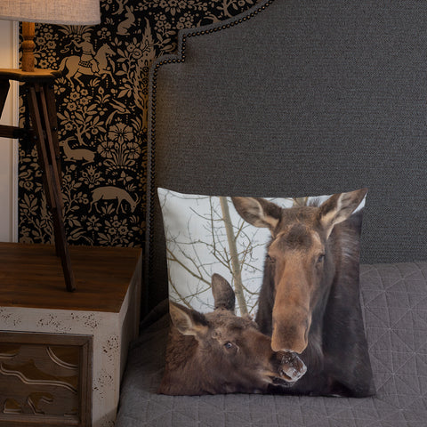 Momma Moose and Babe