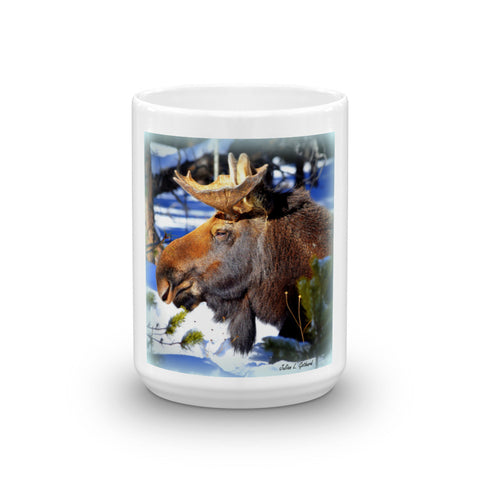 Bull Moose Snoozing