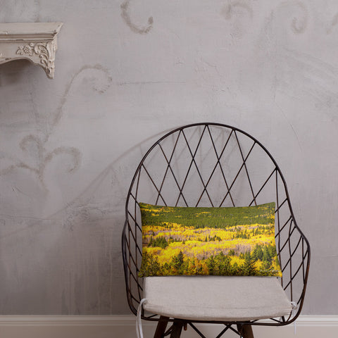 Peak to Peak Fall Color