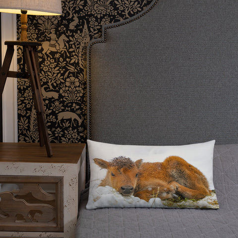 Juvenile Buffalo in the Snow