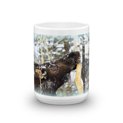Moose stripping Aspen Bark