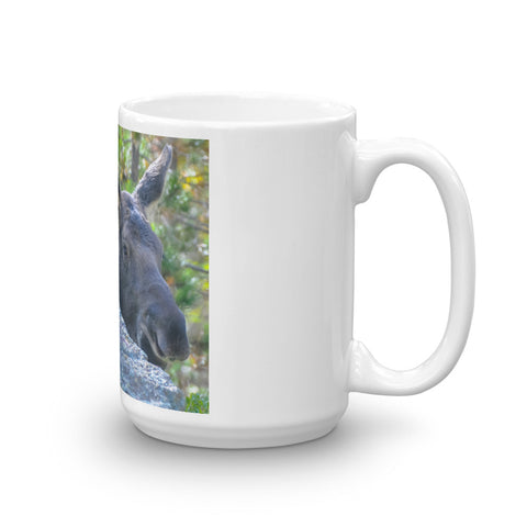 Juvenile Moose