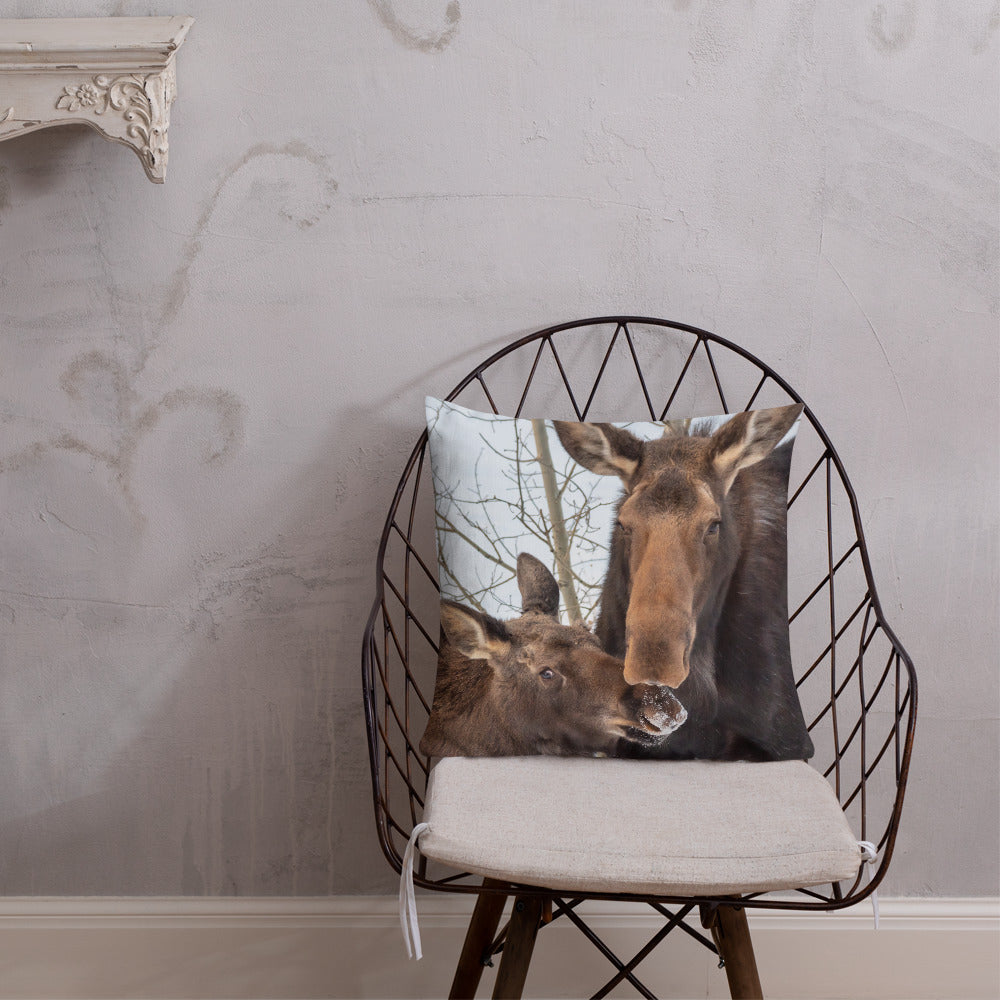 Momma Moose and Babe