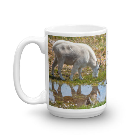 Goat by Reflecting Pool