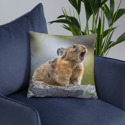 Pikas Don't Squeak They Roar