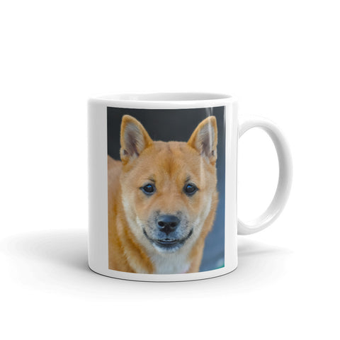 Shiba Inu