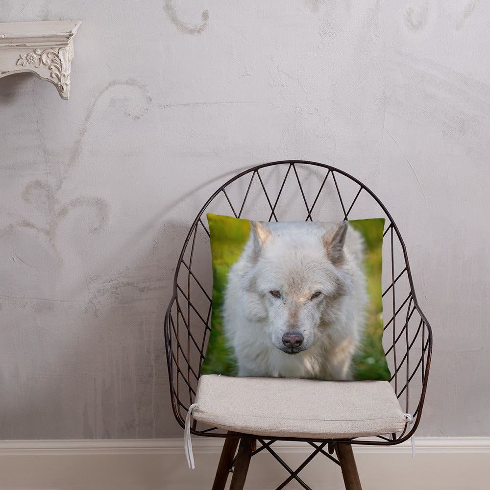 Gray Wolf