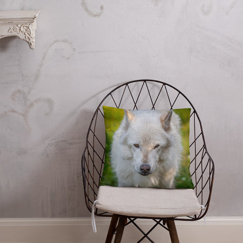 Gray Wolf