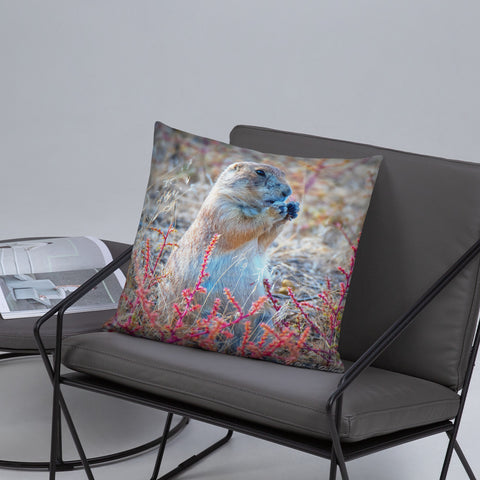 Prairie Dog at the Arsenal