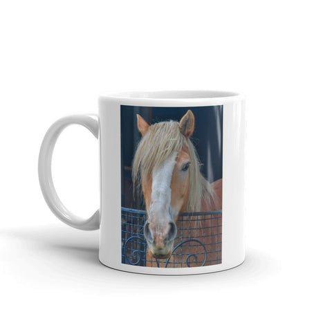Haflinger Draft Horse