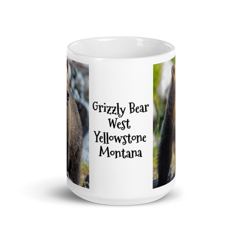 Grizzly Bear