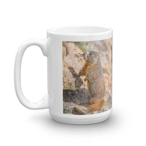 Yellow-bellied Marmot on the Lookout