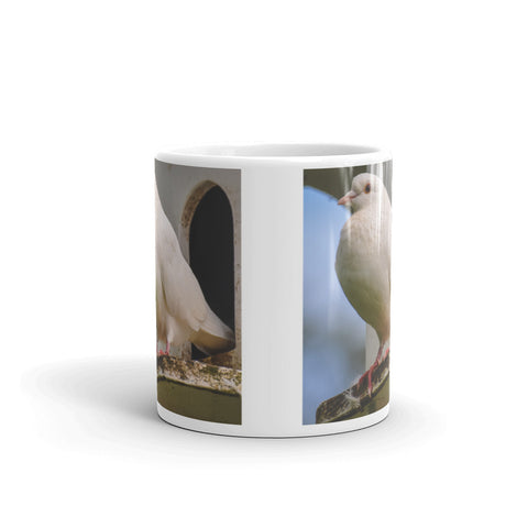 Dove and Dovecote