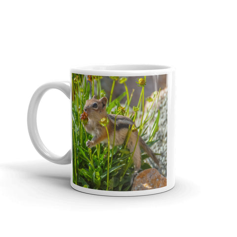 Golden-mantled Ground Squirrel