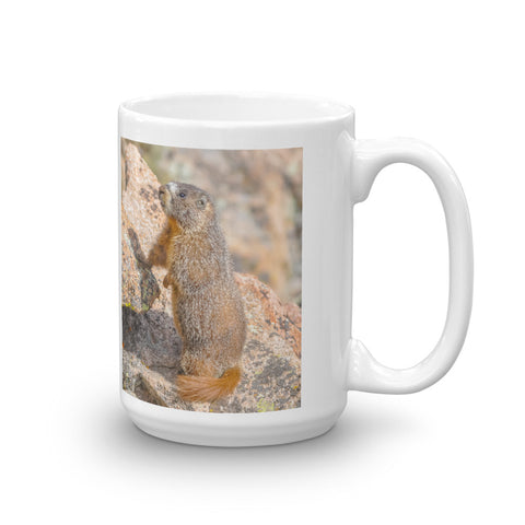 Yellow-bellied Marmot on the Lookout