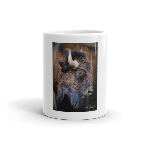 Spirit of the Tatanka