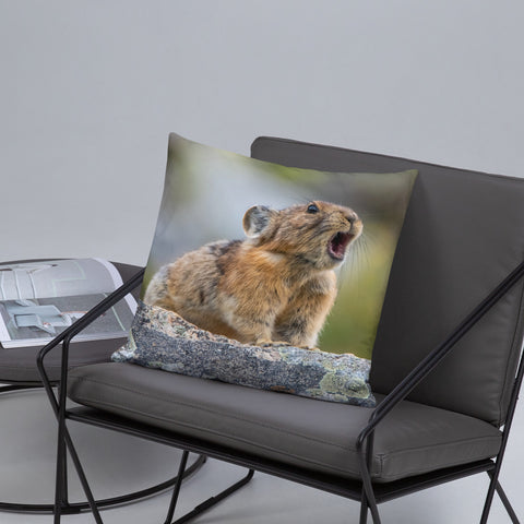 Pikas Don't Squeak They Roar