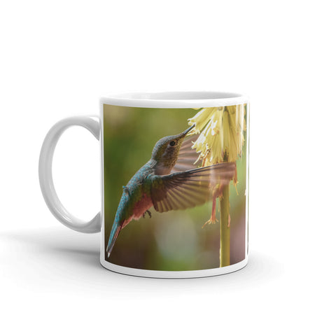 Ruby-Throated Hummingbird and Red Hot Poker