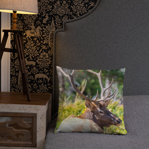 A Bull Elk's Backward Glance