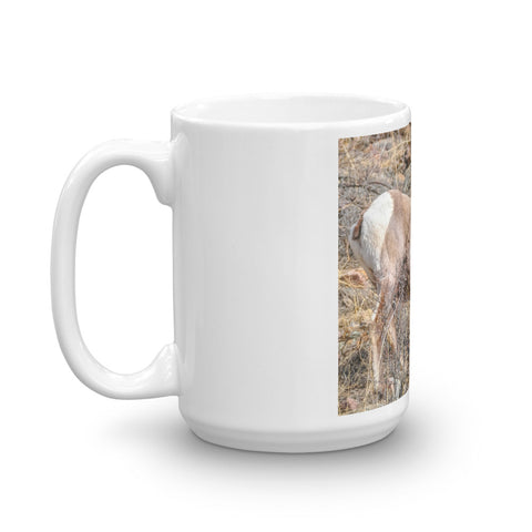 Rocky Mountain Bighorn Sheep