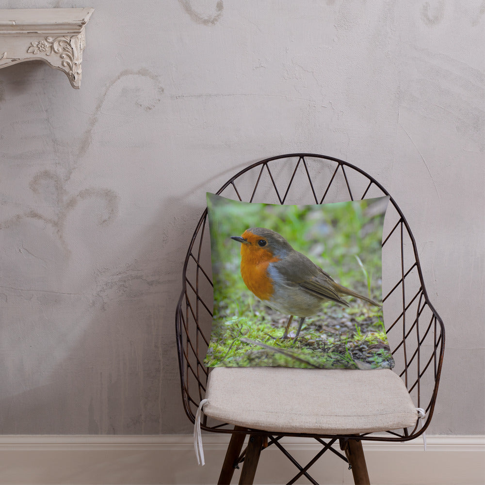 Little Robin Redbreast Came To Visit Me