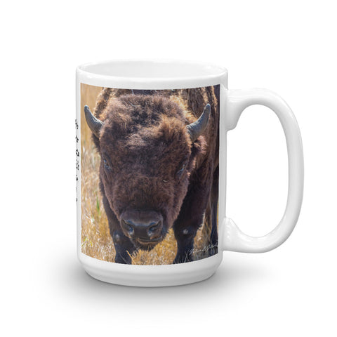 Buffalo at the Rocky Mountain Arsenal