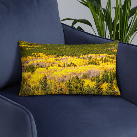 Peak to Peak Fall Color