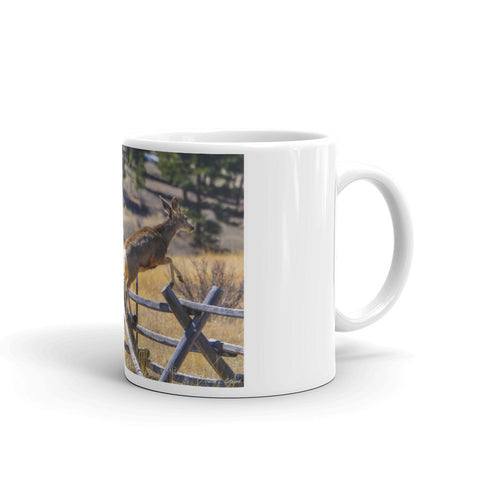 Mule Deer Steeplechase Glenhaven