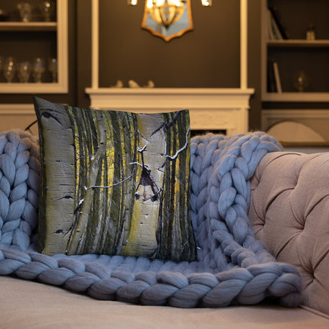 Kebler Pass Aspen in the Fall