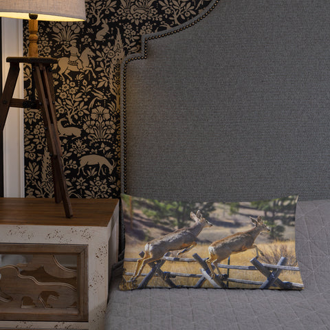 Rocky Mountain Mule Deer Steeplechase