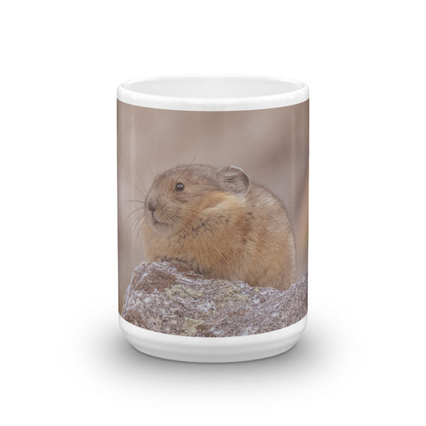 Pikas Rock!