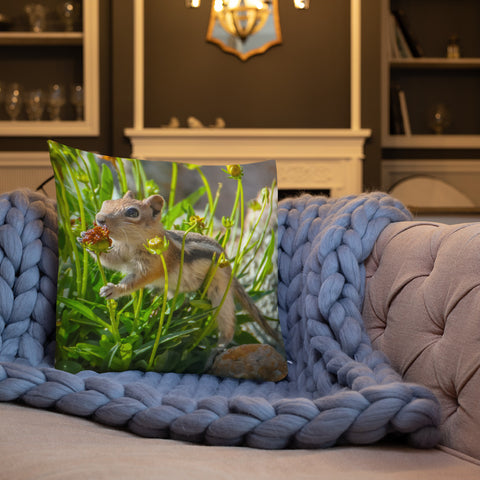 Golden-Mantled Ground Squirrel