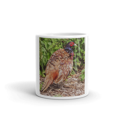 English Pheasant